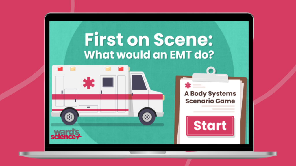 Image of the First on Scene EMT training game